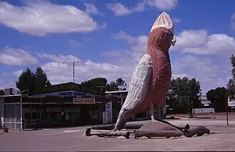 Big Galah sculpture in Kimba where the hundreds of Solomon, Kelly, Moseley and Cortlinye intersect