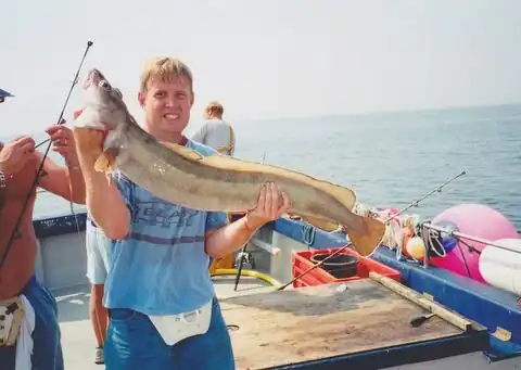 A common ling caught by an angler