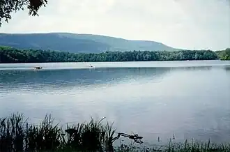Lanscape