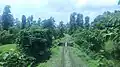 Bilimora - Waghai Section View 2