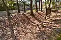 Remants of perimeter earthen walls