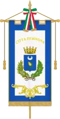 Gonfalon of the Municipality