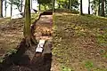 trench from the 2015 excavation