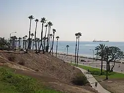 Picture of Alamitos Beach at Bixby Park