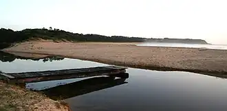 Black Head Beach