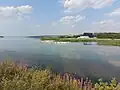 Pelicans at the southern end of Blackstrap Lake, across from the Blackstrap South Dam