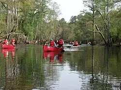 Image 28Boy Scouts canoeing on the Blackwater River, Virginia