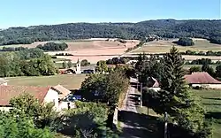 A view of Blandin