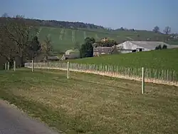 Blenheim Farm