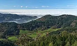 Black Forest near Seebach