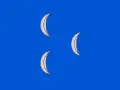 "Blue Turks' flag", also in Bowles's Universal Display of the Naval Flags of all Nations (1783)