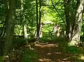 Blumenstein ruins