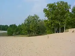 Boberger dune in Lohbrügge