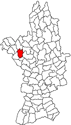 Location in Olt County