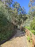 The start of the footpath to Curral das Freiras