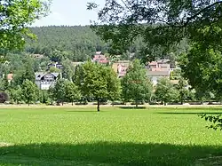 View of Bad Bocklet from the spa park