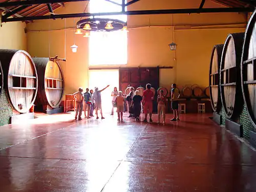 In the Cuyo region, considerable agroindustrial wine production stands out.