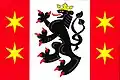 Flag of Bohdíkov