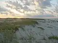 Sunrise at Bon Secour (2001)