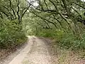 View from Mobile Road in Bon Secour