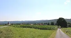 View of Bonrepos