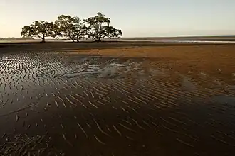 Boondall Wetlands, 2012