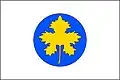 Flag of Boršice