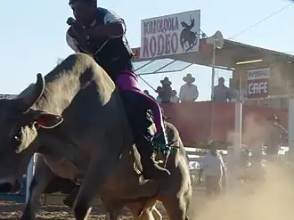 The Borroloola rodeo is held in August each year
