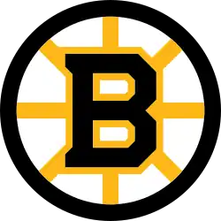 Boston Bruins, an American NHL hockey team