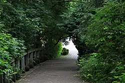 Alley in the Botanical Garden