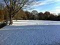 Botanic Green in winter