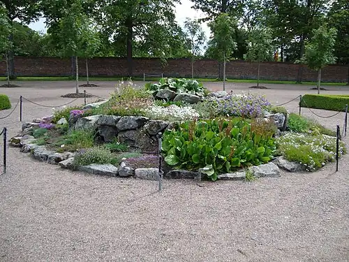 A flowerbed in the main section of the garden