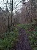 The footpath leading west along the river Wansbeck