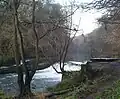 The old weir, just past the outbuilding/ old watermill. Looking west