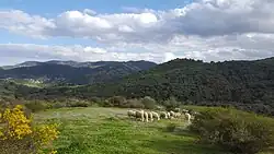 Bouderbala, Bouira (Algeria)