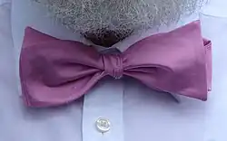 Bow tie, type Butterfly, silk