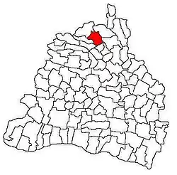 Location in Dolj County