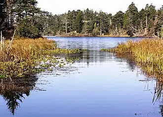 View of Bradley Lake