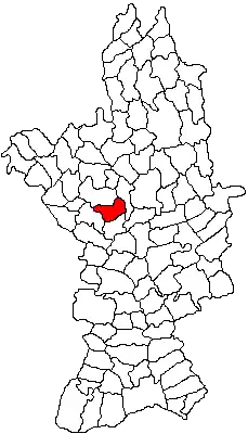 Location in Olt County
