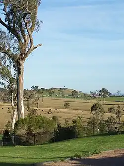 Looking from Brandy Hill across the site of Ahalton Farm, towards Mount Kanwary.
