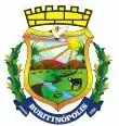 Coat of arms of Buritinópolis