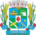 Official seal of Pirapetinga