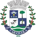 Official seal of Município de Carangola