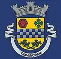 Coat of arms of Travancinha