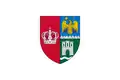 Flag of Brașov County