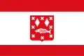 Flag of Brasschaat