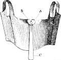 1808 short stays, a typical Regency era undergarment.