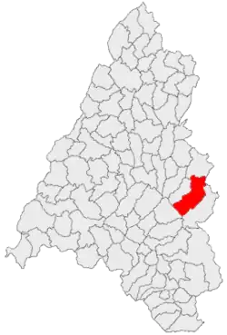 Location in Bihor County