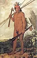 Tapuia