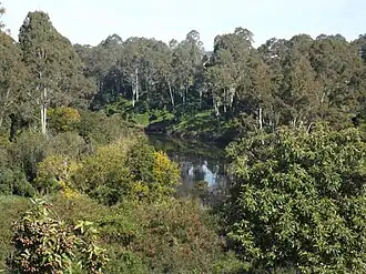 Bremer River, 2015